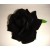 Rožė juoda barchatinė su kotu G153619