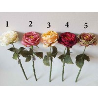 Pinavijinės rožės su koteliu  G1749