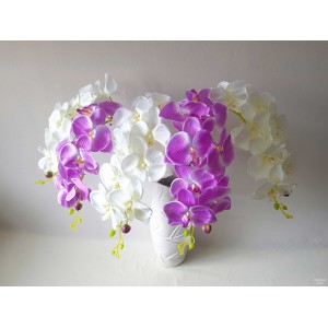 G1424 Orchidėjos šaka. 1 m