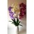 G1424 Orchidėjos šaka. 1 m
