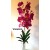G1424 Orchidėjos šaka. 1 m