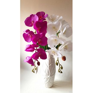 Orchidėjos šaka lateksinė vidutiniais žiedais, 1 m., G1900