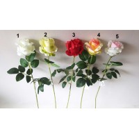 G1003 rožė su kotu 63 cm