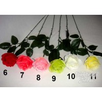 G1003 rožė su kotu 63 cm