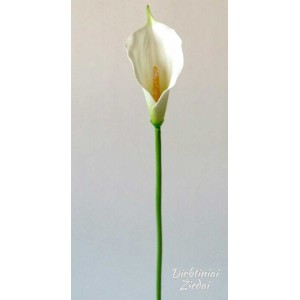 G1610 Kalija vidutinė lateksinė, 14 * 11 cm