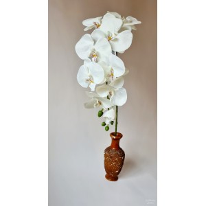 G1422 Orchidėjos šaka. 1 m