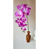 G1422 Orchidėjos šaka. 1 m