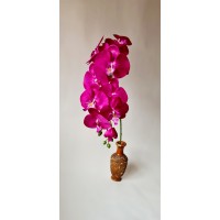 Orchidėjos šaka, tamsiai rožinė., G238408