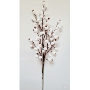N1486 Besmegenis 1 vnt, 11 cm