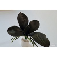 G1473 Orchidėjų lapai 5 l. 26 cm