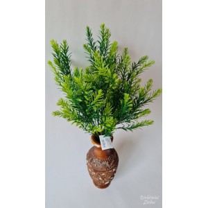 GW0018 Lapas tamsus, 12 vnt