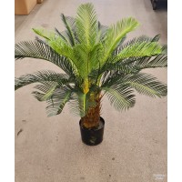 Palmės medis 90 cm., G2449
