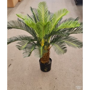 G1424 Orchidėjos šaka. 1 m