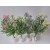 GW0018 Lapas tamsus, 12 vnt