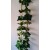 G7057 Lapų girlianda (gebenė, pelargonija su baltu, pelargonija žalia, vynuogė) 2,2 m