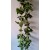 G7057 Lapų girlianda (gebenė, pelargonija su baltu, pelargonija žalia, vynuogė) 2,2 m