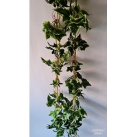 G7057 Lapų girlianda (gebenė, pelargonija su baltu, pelargonija žalia, vynuogė) 2,2 m