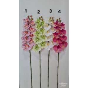 G1422 Orchidėjos šaka. 1 m