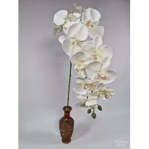 G1422 Orchidėjos šaka. 1 m