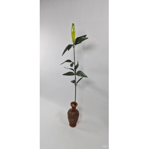 G1564 lelijos kotas su pumpuru, 75 cm