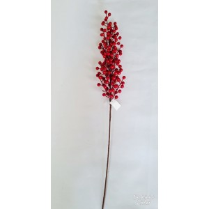 Šaka su raudonom uogom, N504503