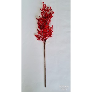 Šaka su smulkiom raudonom uogom, N506002