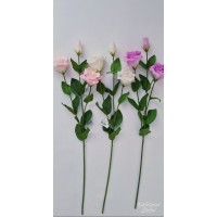 Austomos  šaka silikoniniais žiedais G600908