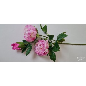 G0261 pink