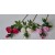 G0261 pink