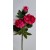 G0261 pink