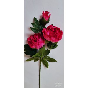 G0261 pink
