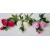 G0261 pink