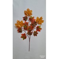 Klevo lapų šaka rudeninė sp., G6016