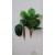 Palmės krūmelis 45 cm.,  G602100